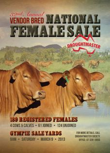 Female Sale Catalogue